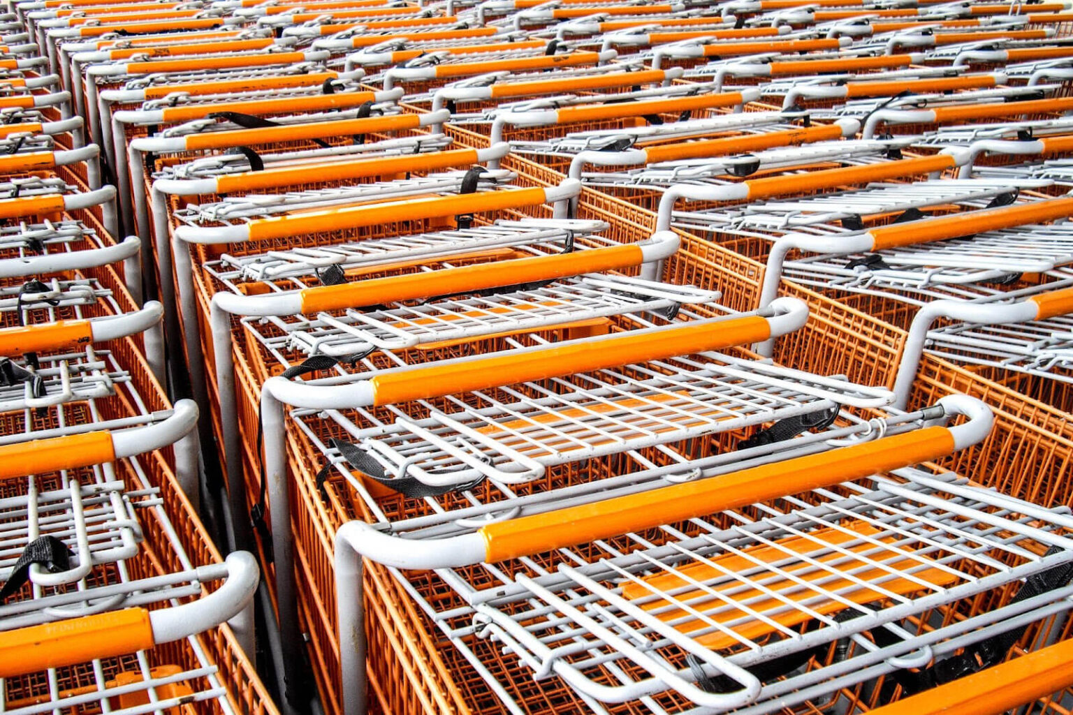 Plastic Shopping Carts Archives - Good L Corp